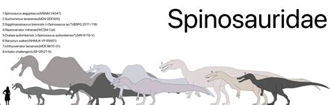 Spinosauridae Art/Size comparison | Fandom