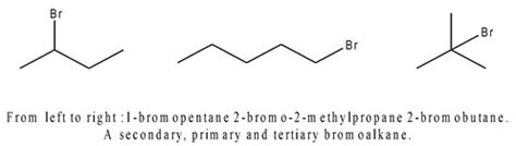 Halogenoalkanes | Definition & Examples | A-Level Chemistry Revision Notes