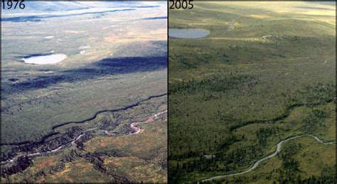 Climate-related Vegetation Changes in the Subarctic (U.S. National Park ...