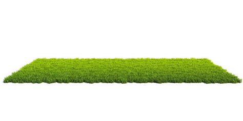 Details 100 grass ground background - Abzlocal.mx