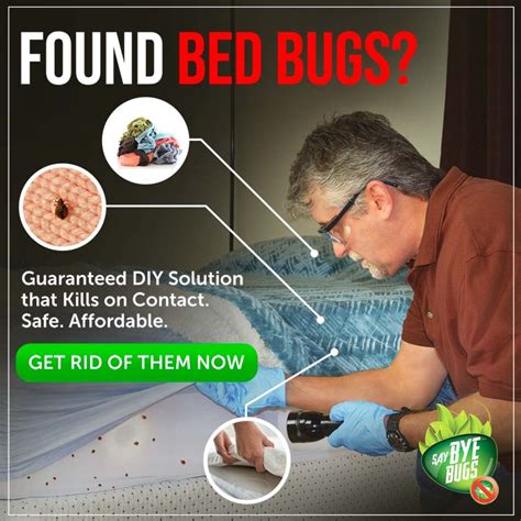 How to Choose a Bed Bug Exterminator - Bed Bug Guide