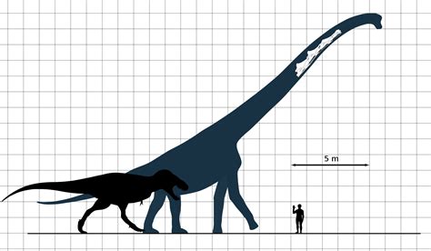 Why Were Some Dinosaurs so Large ? - extra.guernseydonkey.com