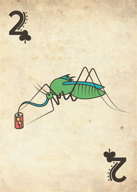 Illustration // Insect Playing Cards on Behance