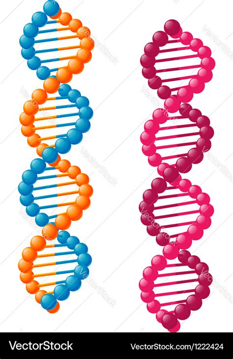 Biological dna elements Royalty Free Vector Image