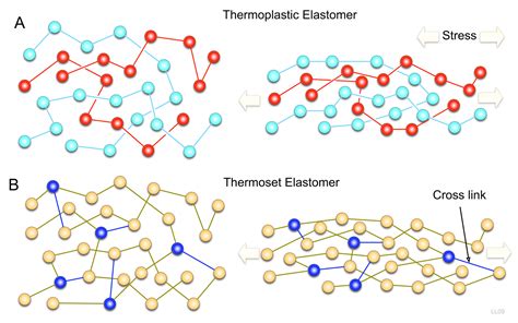 Elastomeri | Chimicamo.org