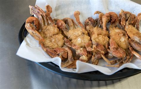 Coconut Crab Edible - samoan images art