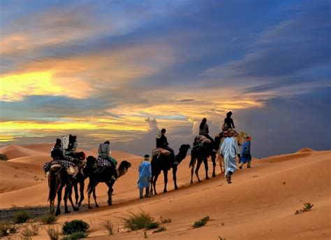 Sahara Desert Vacation and Tourist Attractions | WanderWisdom