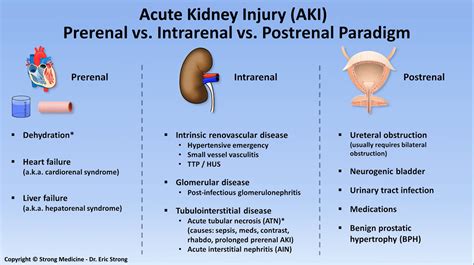 What Causes Kidney Failue