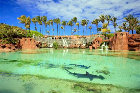 11 Top-Rated Tourist Attractions in the Bahamas | PlanetWare