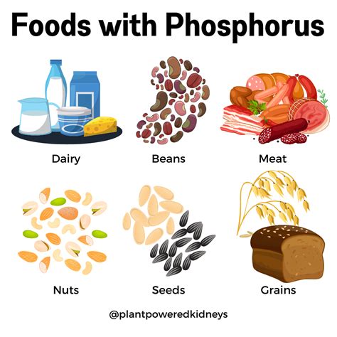 Low Phosphorus Foods: Your Guide to The Low Phosphorus Diet - Plant ...