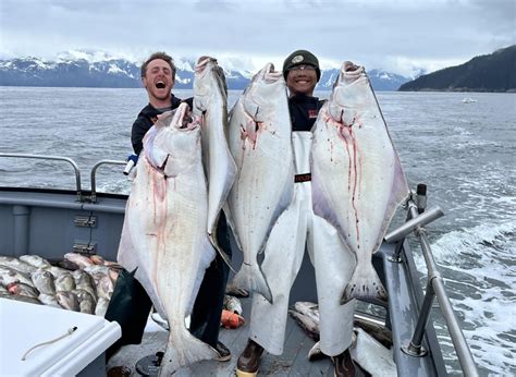 Seward Alaska Halibut Fishing Charter | Saltwater Safari Company