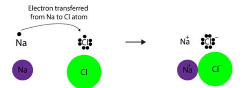 Ions and Ion Formation Study Guide - Inspirit Learning Inc