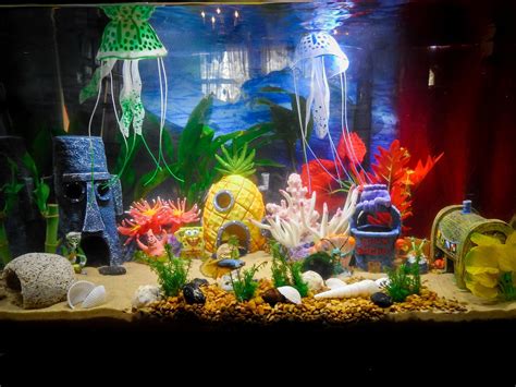 How Hollywood Got Aquarium Decorations Diy All Wrong | Peces de acuario ...