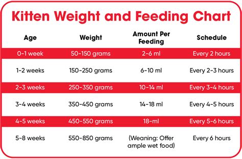 Kitten Lady Feeding Chart: Nourish Your Kittens Growth