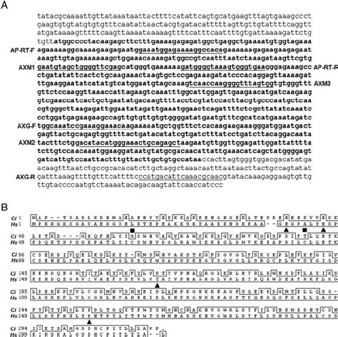 Gene sequence and the Clustal alignment method for both DNA and amino ...