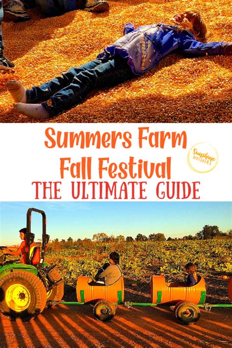 19 Reasons You Must Take Your Kids to Summers Farm This Fall!