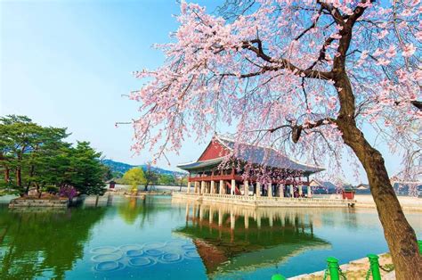 Paket Tour ke Korea Selatan 6 Hari 5 Malam Mei / Musim Semi (Spring ...