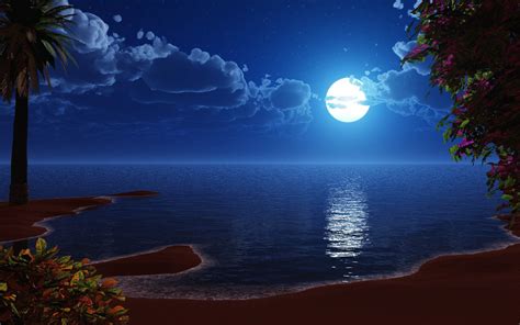 Beauty Of Moon - High Definition Wallpaper | Papel mural de playa ...