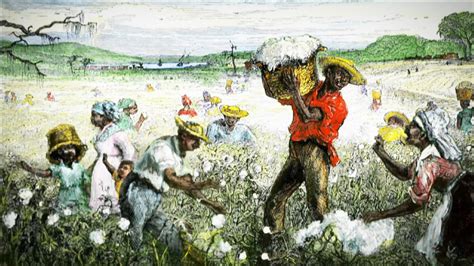 Cotton Plantations Slavery