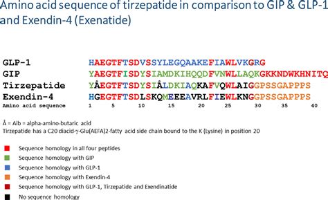 Frontiers | Clinical perspectives on the use of the GIP/GLP-1 receptor ...