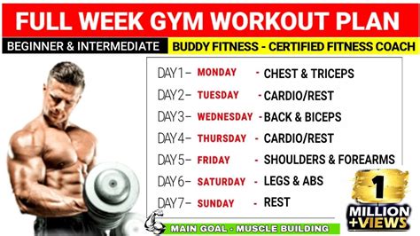 Full Week Gym Workout Plan For Muscle Gain | Beginners & Intermediate ...