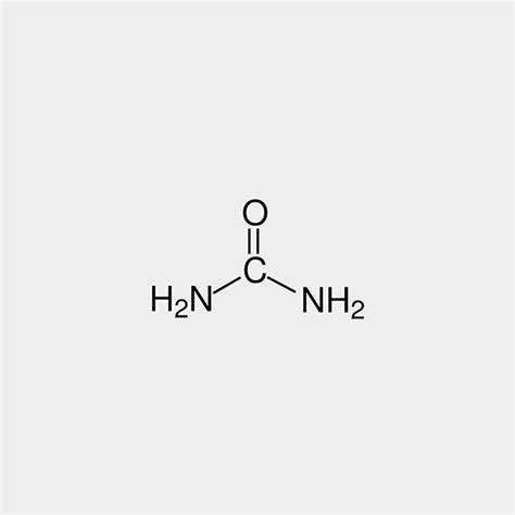 Nh2 Functional Group - Kierra-has-Atkins