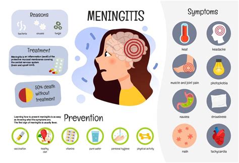 Understanding Meningitis: Causes, Symptoms, And Treatment - Ask The ...