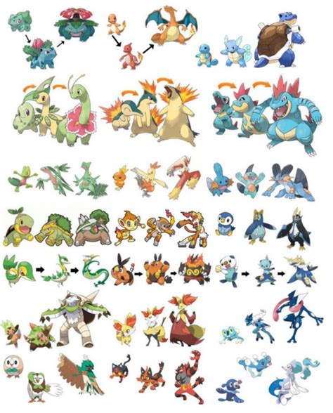 Create a All Pokemon Starters, All Evolutions, All Forms, Mega, Gmax ...