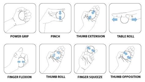 37 Hand Therapy Exercises to Improve Strength & Dexterity – Flint Rehab ...