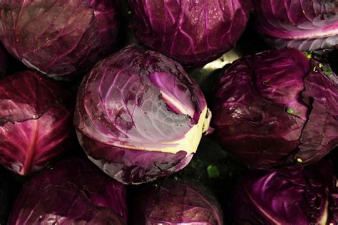 The Purple Cabbage - Free photo on Pixabay