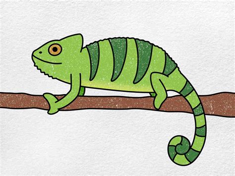 How to Draw a Chameleon - HelloArtsy