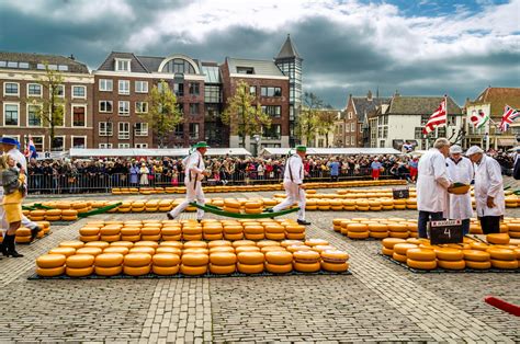 Cheese Markets - Dutch Countryside