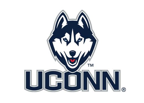 UConn Hires David McKown as New Diving Coach