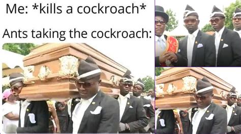 Viral News | Funeral Dance Funny Memes: Video of Ghana’s Pallbearers ...