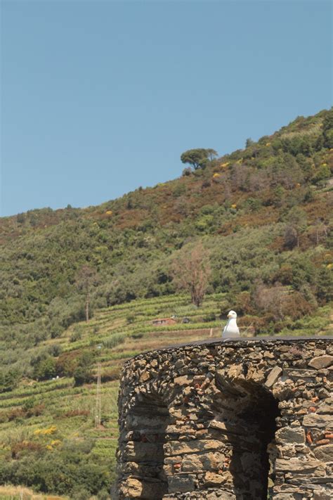 16 Beautiful Photos of Vernazza - There She Goes Again