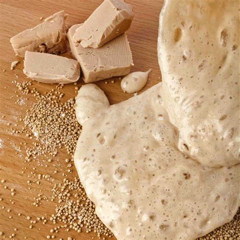 Yeast | Baking Ingredients | BAKERpedia