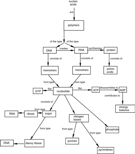 Mastering Biology Chapter 1 Concept Map United States Map | Porn Sex ...