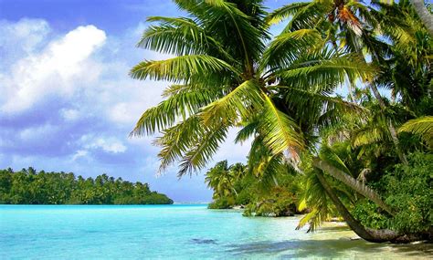 🔥 [73+] Tropical Island Desktop Wallpapers | WallpaperSafari