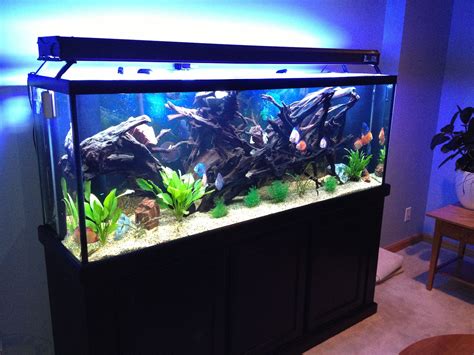 Aquarium 150 - aquarium futterring