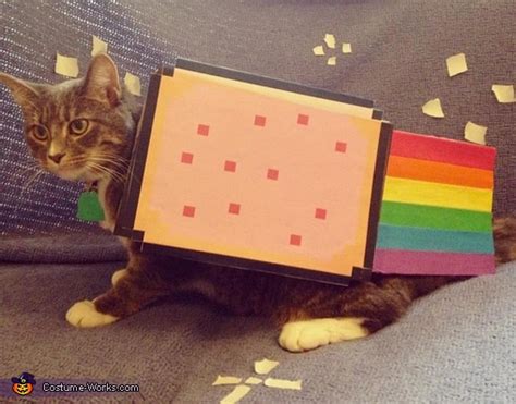 Nyan Cat Costume | Unique DIY Costumes