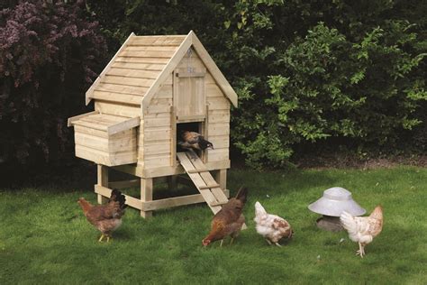 How To Build A Chicken Coop: Chicken Coops Designs - Top Tips To ...