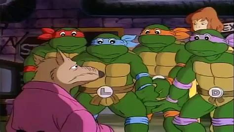 Ninja Turtle Cartoon