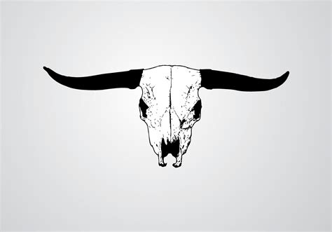 Free Longhorn Skull Vector