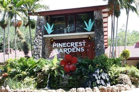 Pinecrest Gardens Miami Wedding | Fasci Garden