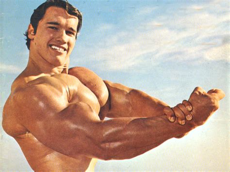 Arnold Schwarzenegger Bodybuilding Wallpapers Posters And Pictures ...