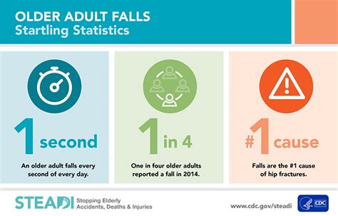 Maine Falls Prevention Coalition