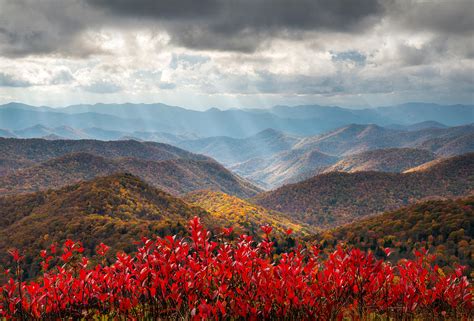 Blue Ridge Parkway Fall Foliage - The Light Photograph by Dave Allen