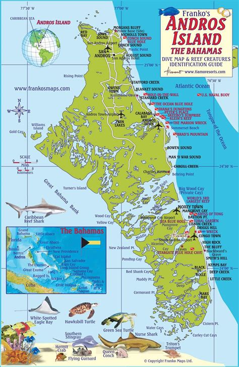 Andros Island, The Bahamas Fish Card – Franko Maps