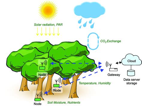 Types Of Terrestrial Ecosystems