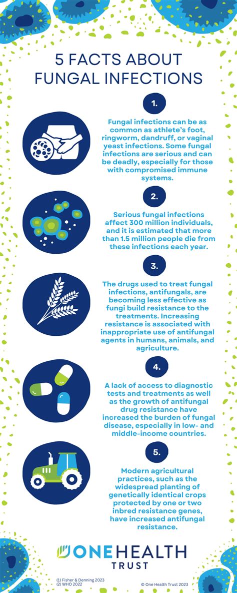 5 Facts About Fungal Infections - One Health Trust